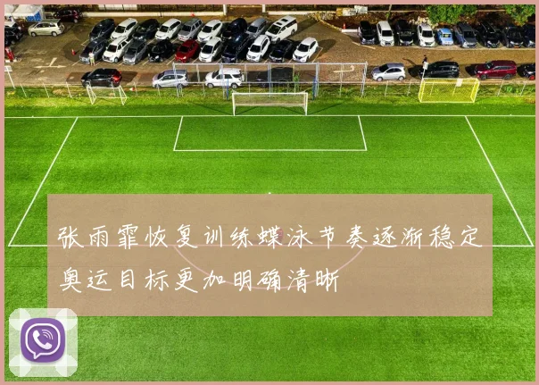 张雨霏恢复训练蝶泳节奏逐渐稳定奥运目标更加明确清晰